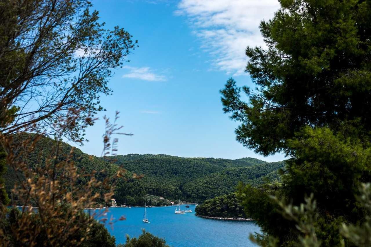 The Ionisi Panormos (Skopelos) Exterior photo